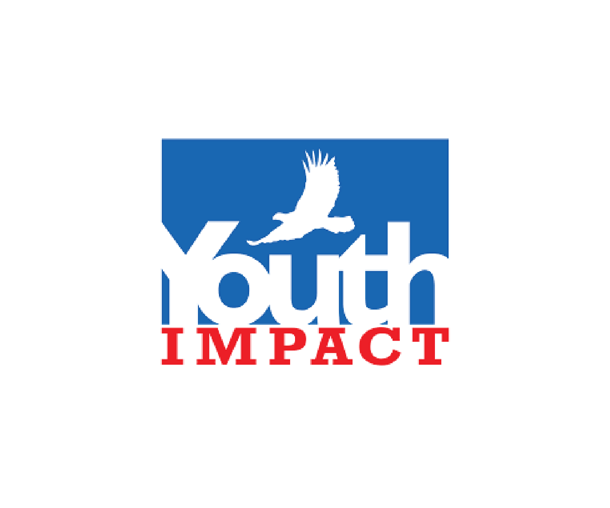 Youth Impact